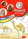 Bible Discover & Learn - Animals